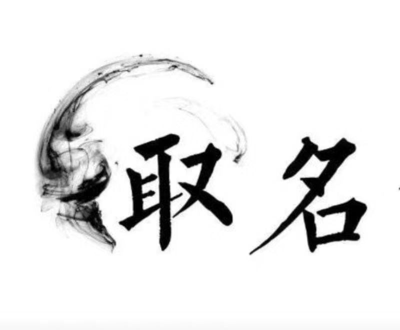  津南宝宝取名 大师一对一人工起名